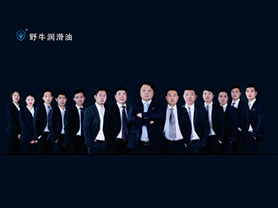 專業(yè)的野牛潤滑油團(tuán)隊(duì)