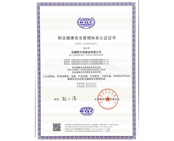 職業(yè)健康安全管理體系認(rèn)證證書(shū)